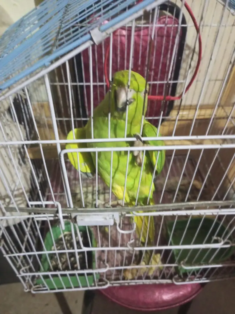 urgent sele karna hai — photo 7
