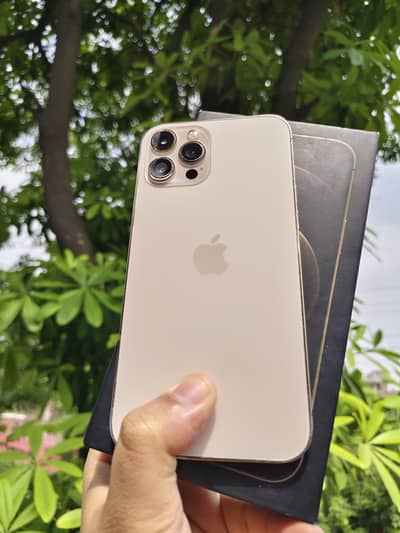 Apple iPhone 12 Pro Max PTA Approved