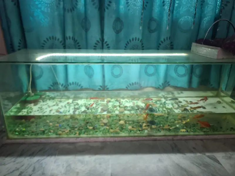 aquarium — photo 3