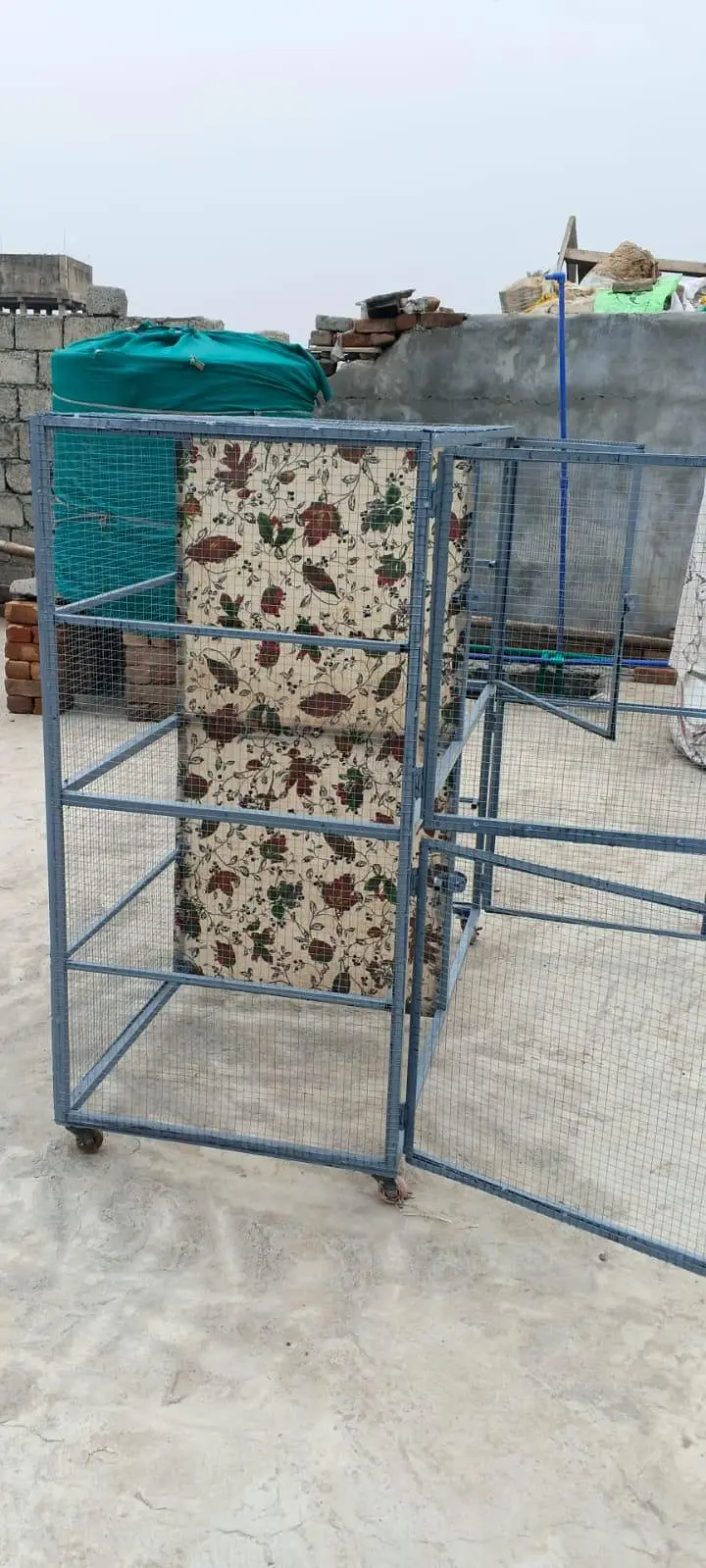 pet big house — photo 3
