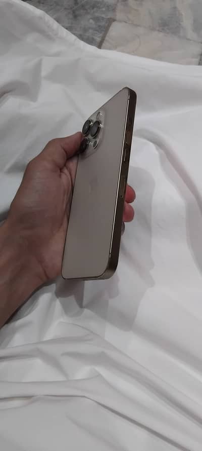 13pro rose gold