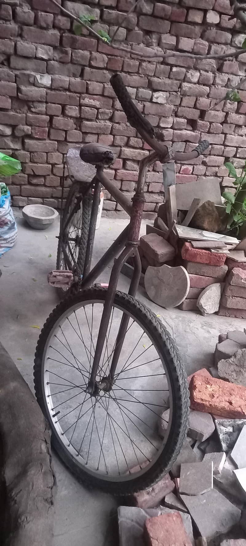 phoenix cycle 0