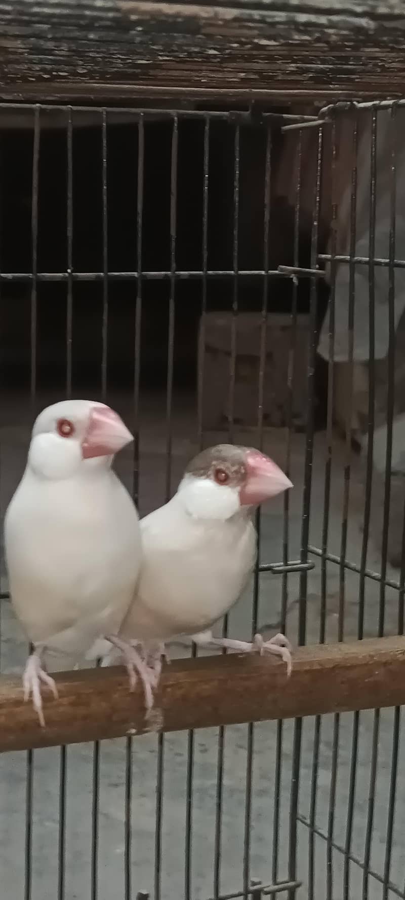 Java pair 0