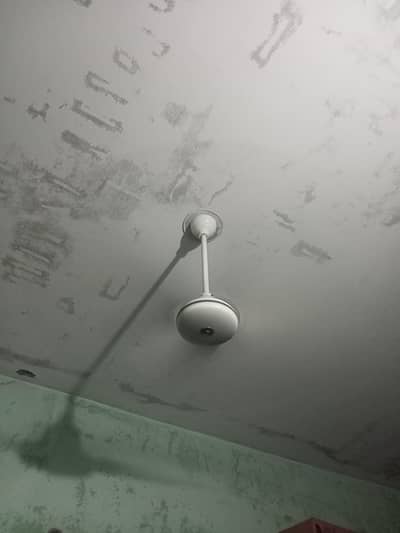 indus fan
