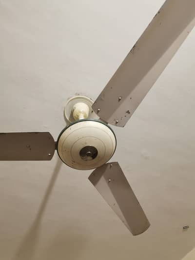 yunas fan