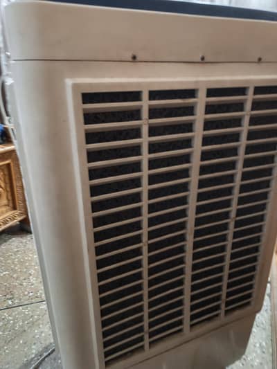 Air cooler