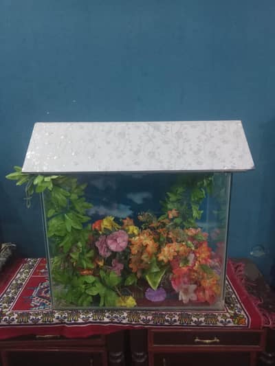 Fish aquarium