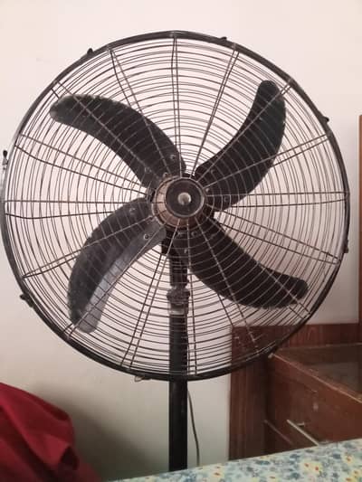TDF PEDESTAL  fan