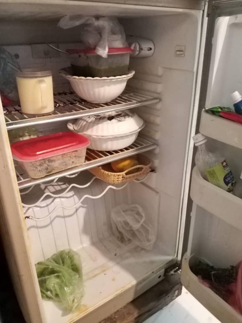 orient fridge 1