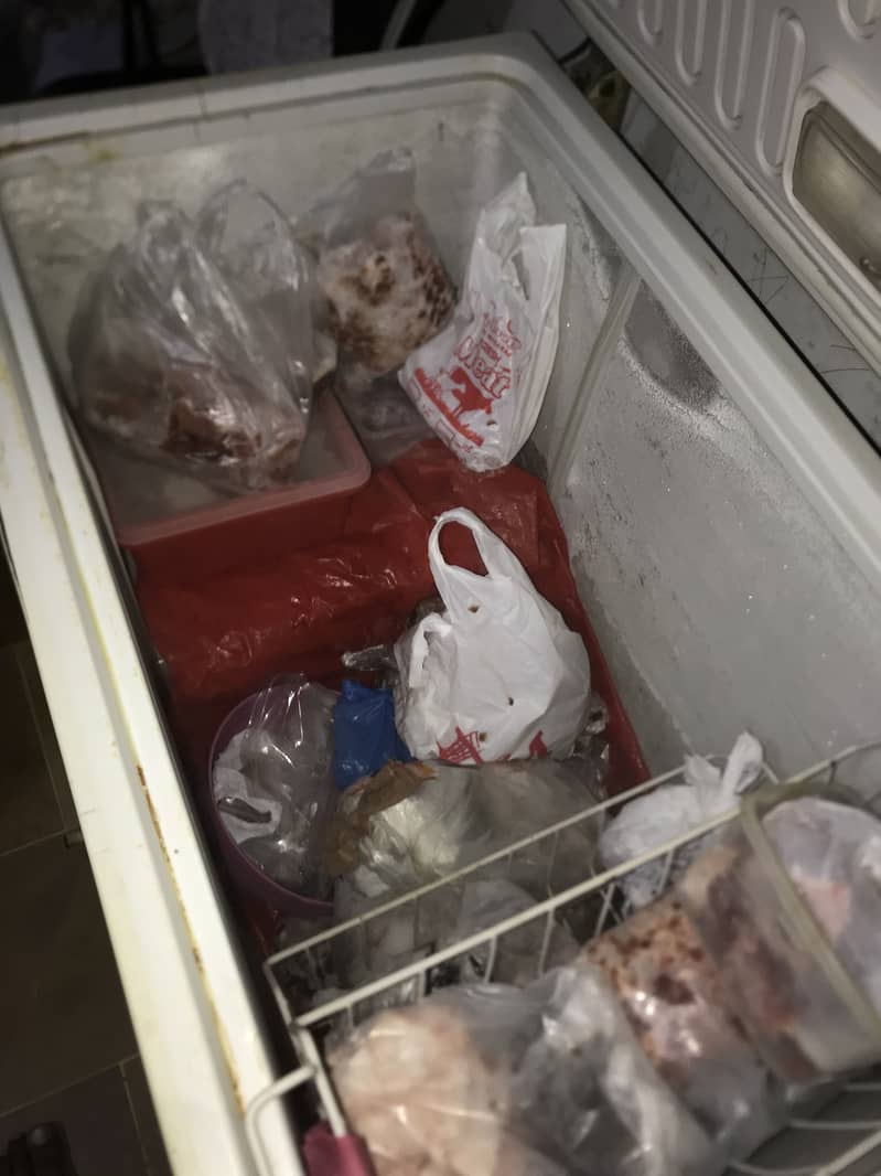 Wave freezer 0