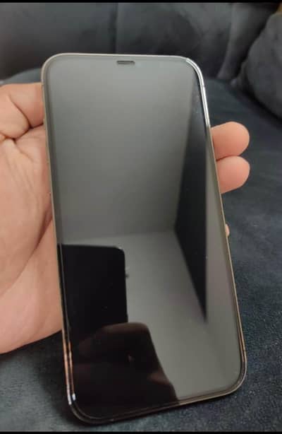 Apple iPhone 12 Pro Max
