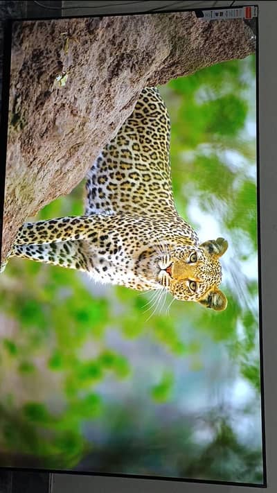 Samsung LED