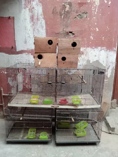 Cage box