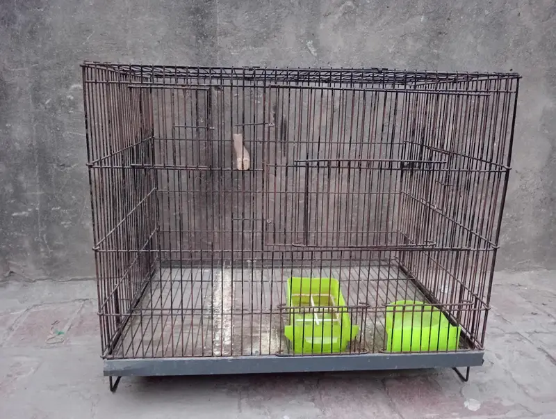 Cage box — photo 2