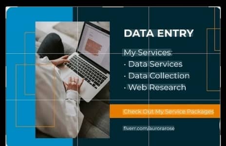 Online Data Entry, Copy Paste and Typing Services Available