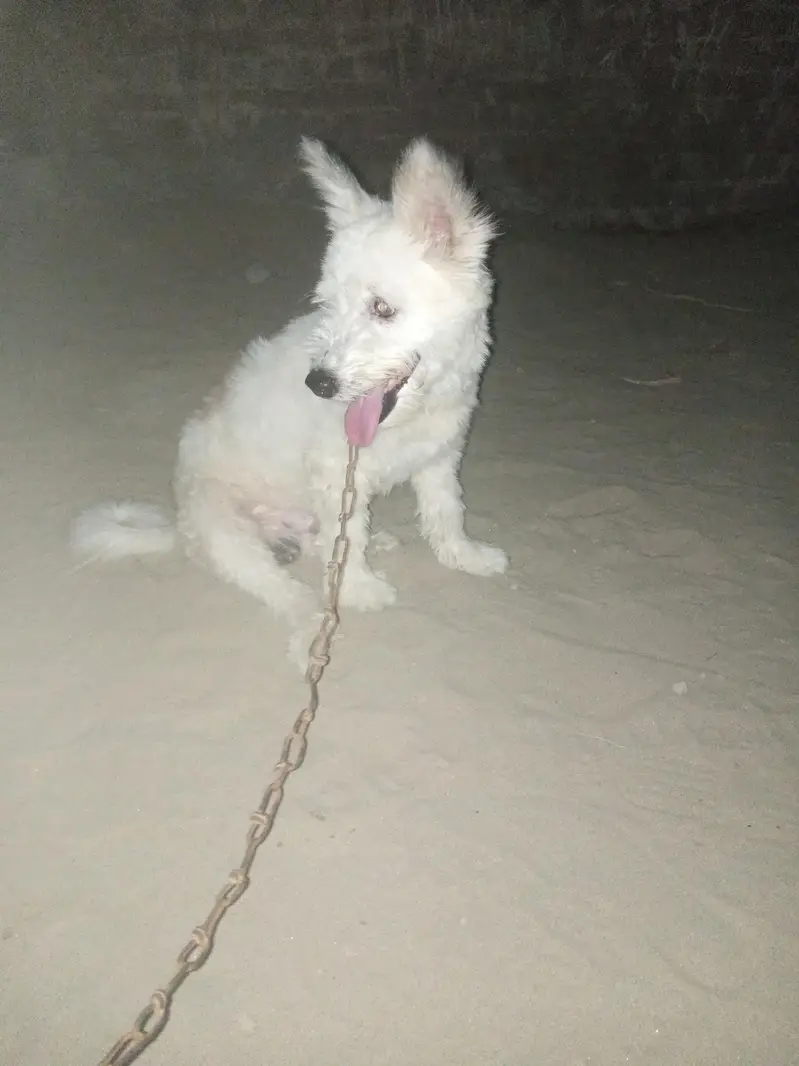bohat hi KhobsorT hy — photo 3