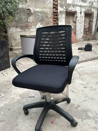 Premium Office Rolling Chairs