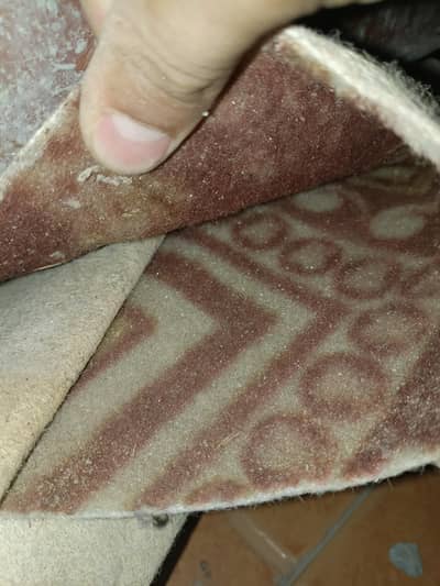 neat and clean carpet