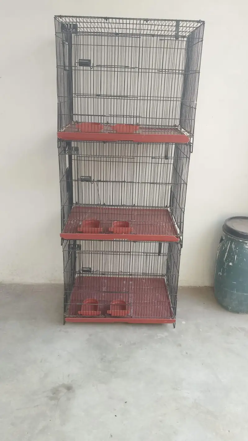 cage ha 10 10 ha condition ha — photo 4