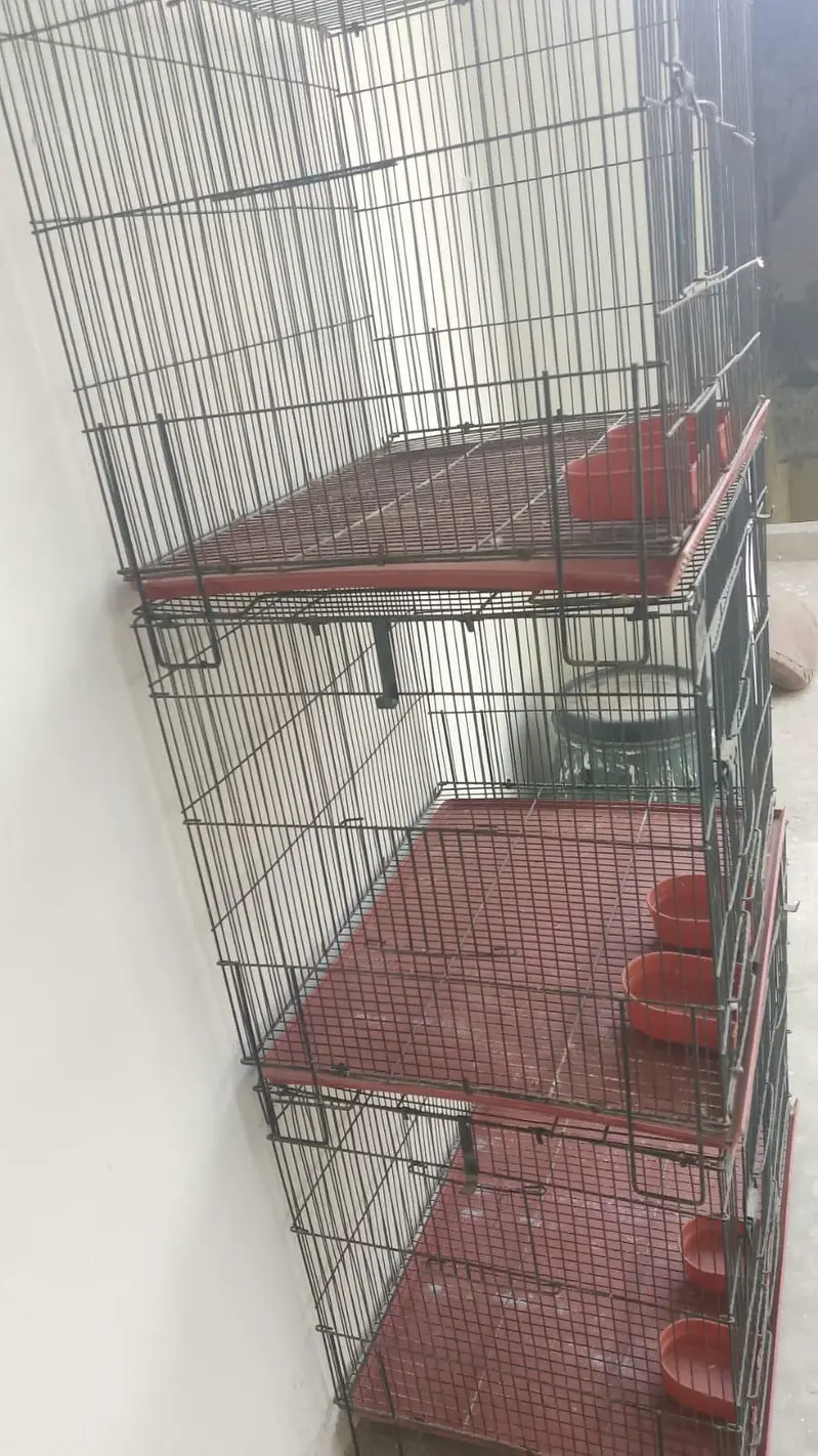 cage ha 10 10 ha condition ha — photo 8