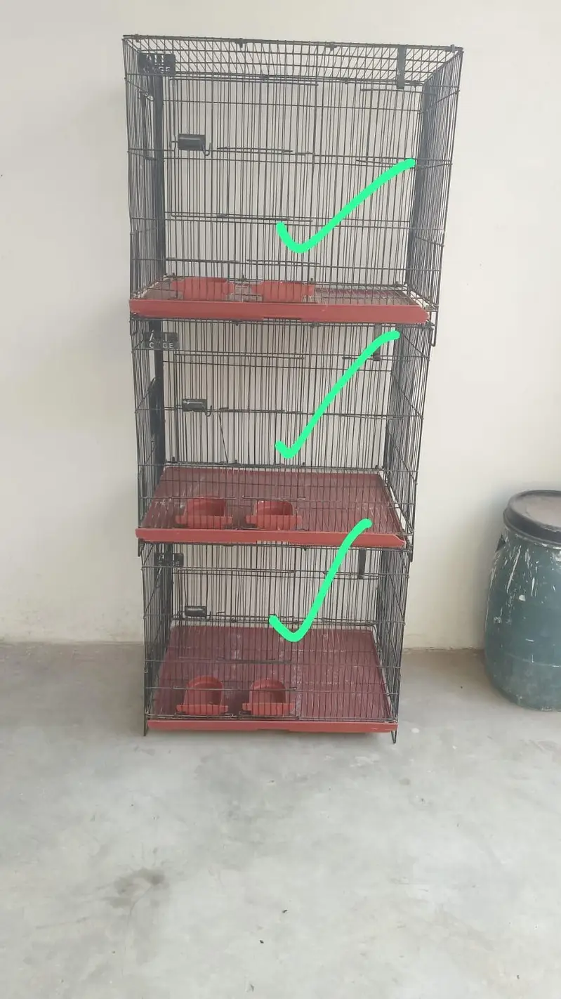 cage ha 10 10 ha condition ha — photo 9