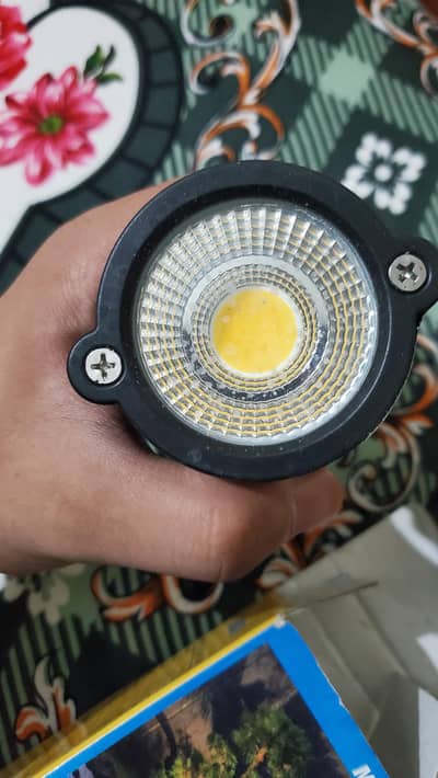lights lawn outdoor