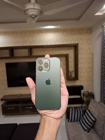 13 pro 1 tb screen change everything working
