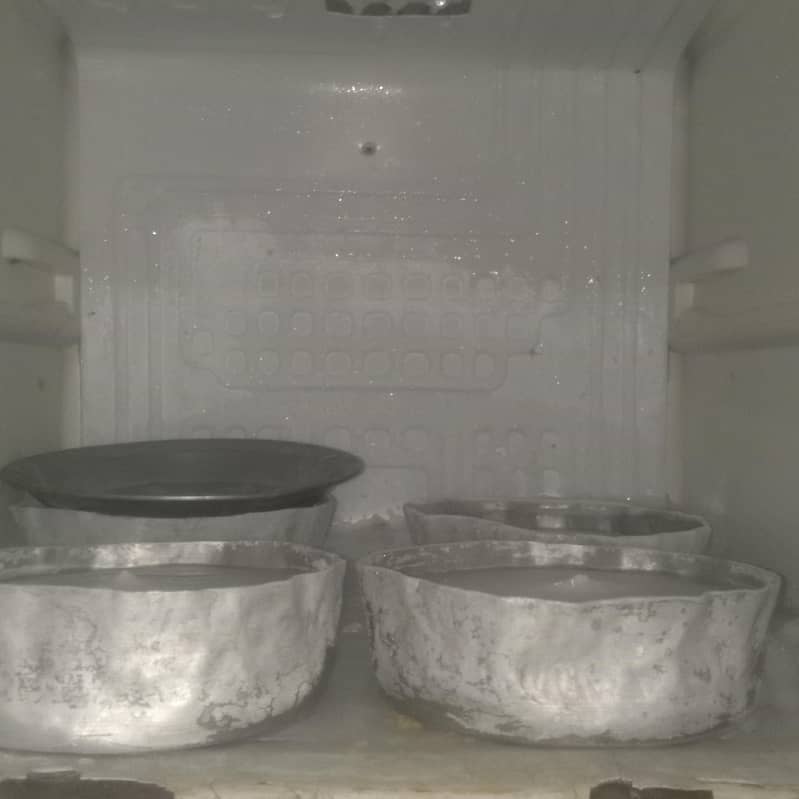 fridge 2