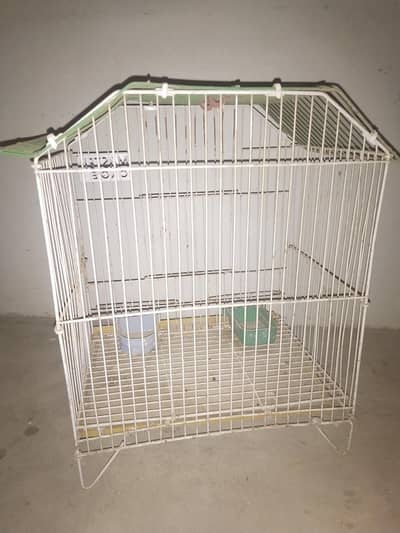 birds cage 2