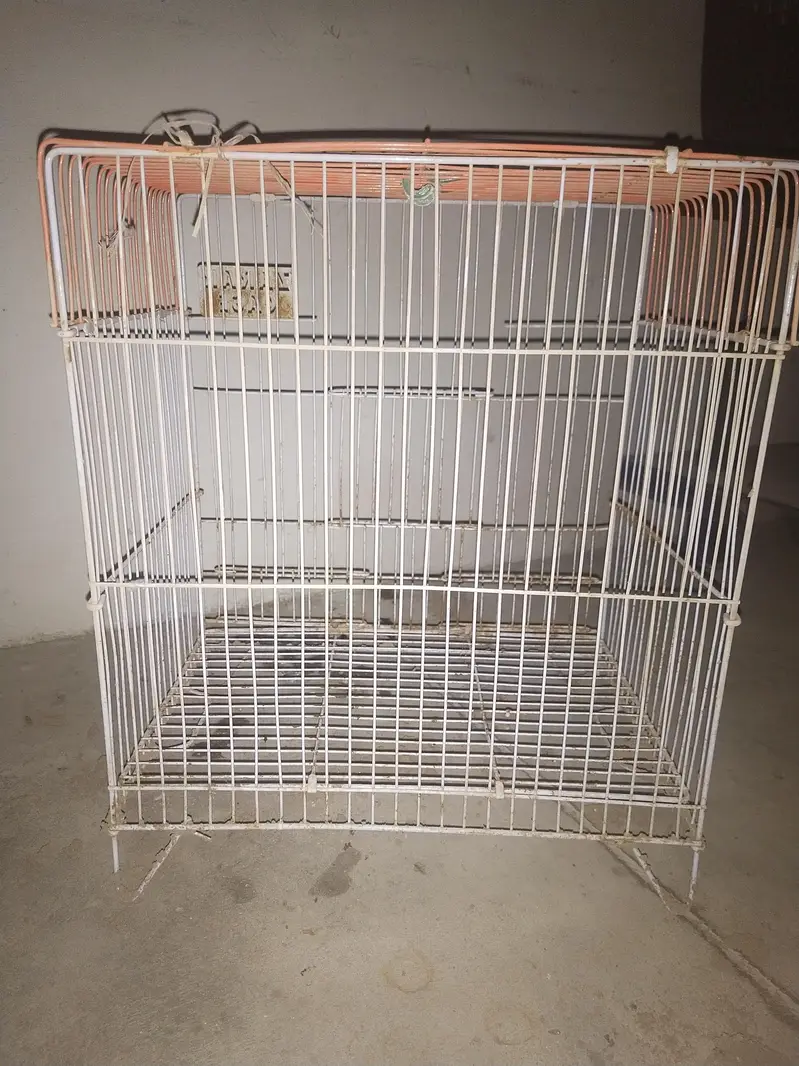 birds cage 2 — photo 2