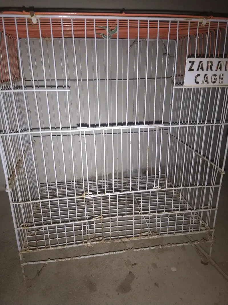 birds cage 2 — photo 3