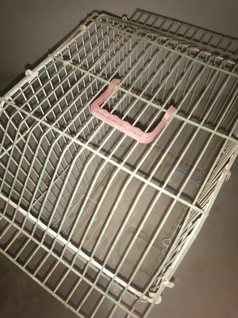 birds cage 2 — photo 4