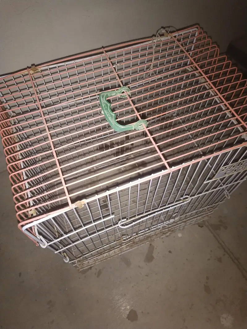 birds cage 2 — photo 5