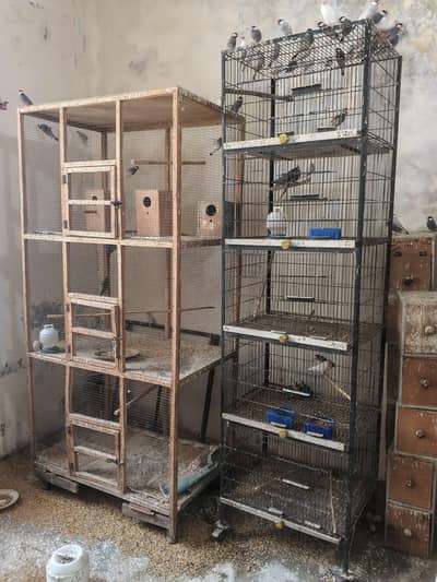 Top quality iron cage for sale sokeen bids hazrat ka lia solid chiz