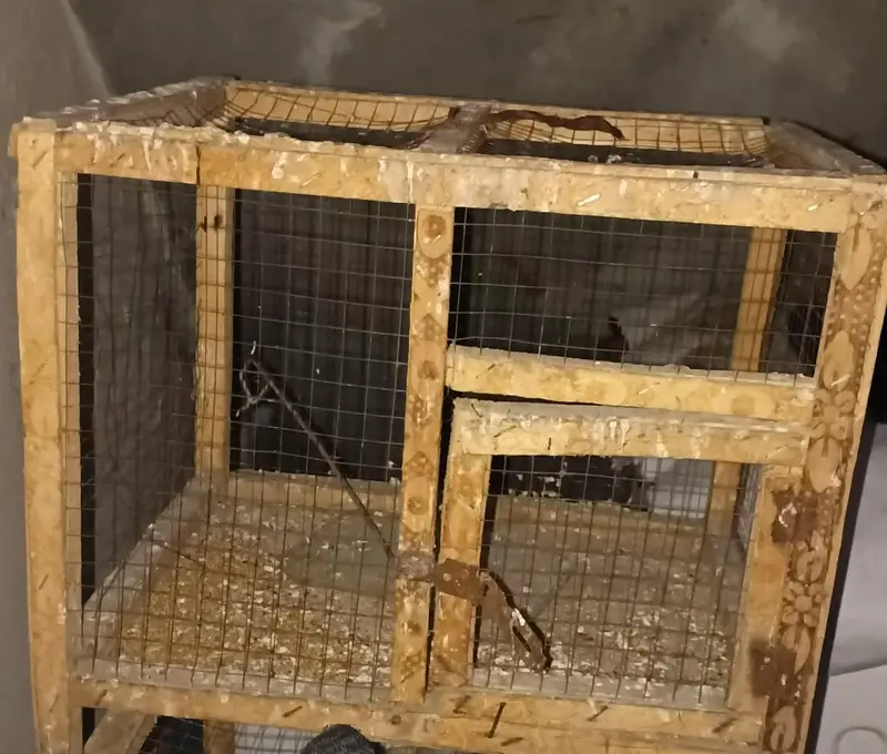 Top quality iron cage for sale sokeen bids hazrat ka lia solid chiz — photo 5