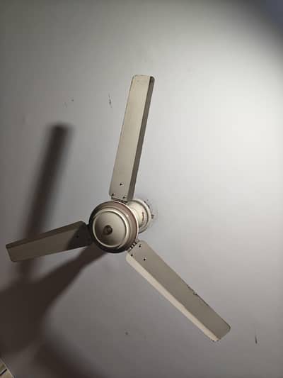 Ceiling fans forsale.