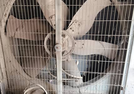 Air fan poultry farm