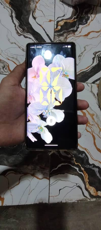 Google Pixel 6 Pro