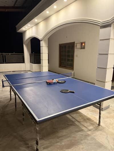 Table Tennis Table with Net & Paddles
