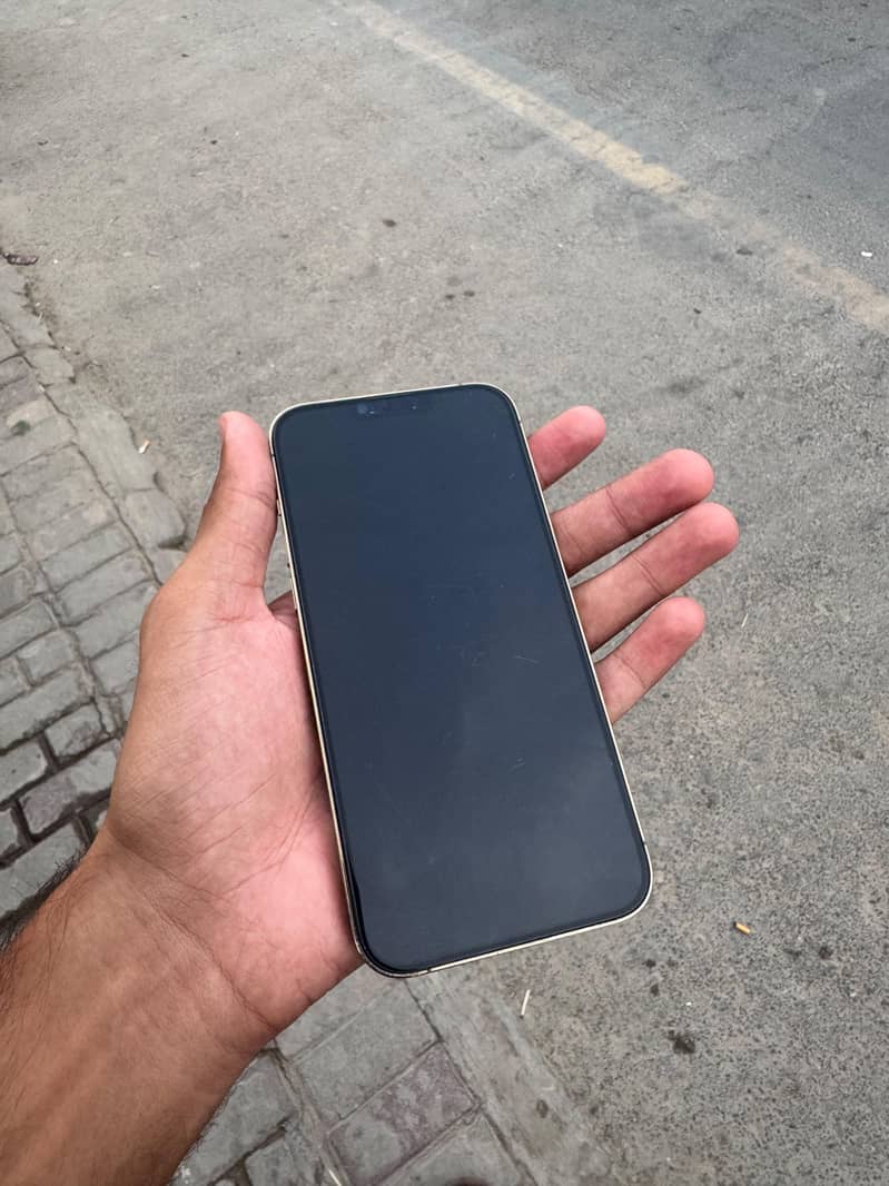 Apple iPhone 13 Pro Max 1