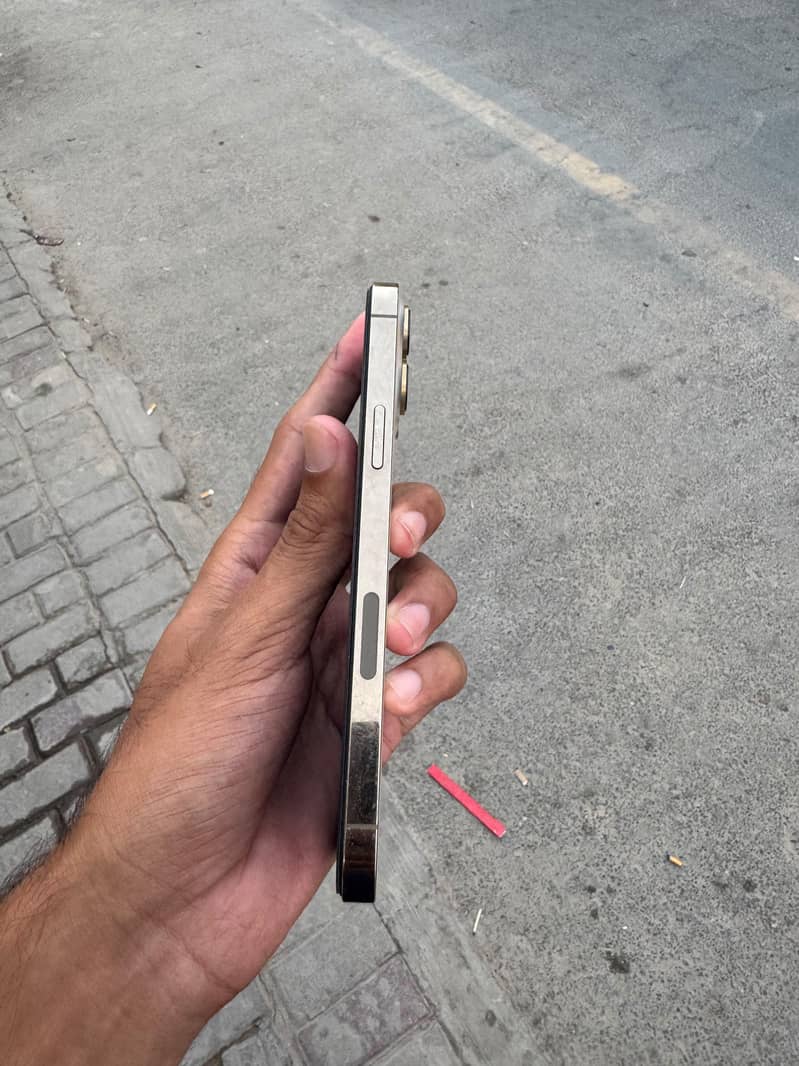 Apple iPhone 13 Pro Max 2