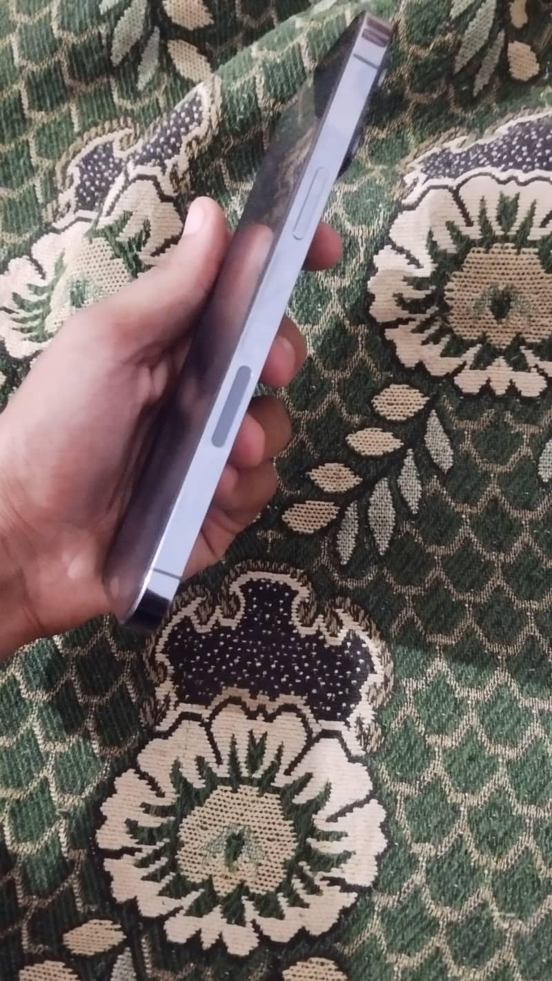 Apple iPhone 13 Pro Max 4