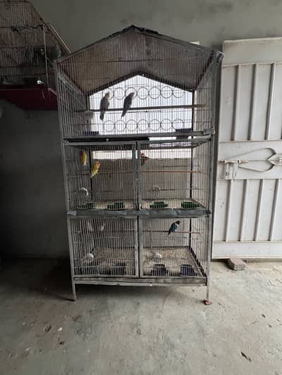 5 portion cage with lovebirds and cocktails