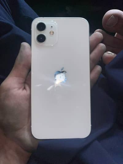 Apple iPhone 12