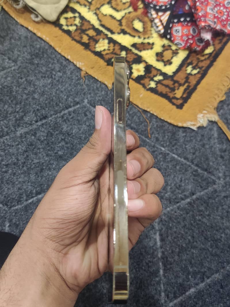 Apple iPhone 13 Pro Max 1