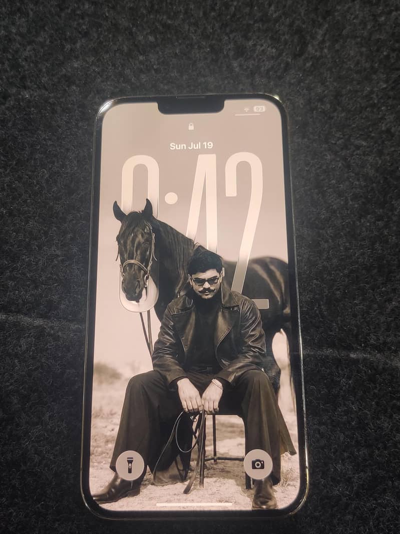 Apple iPhone 13 Pro Max 7