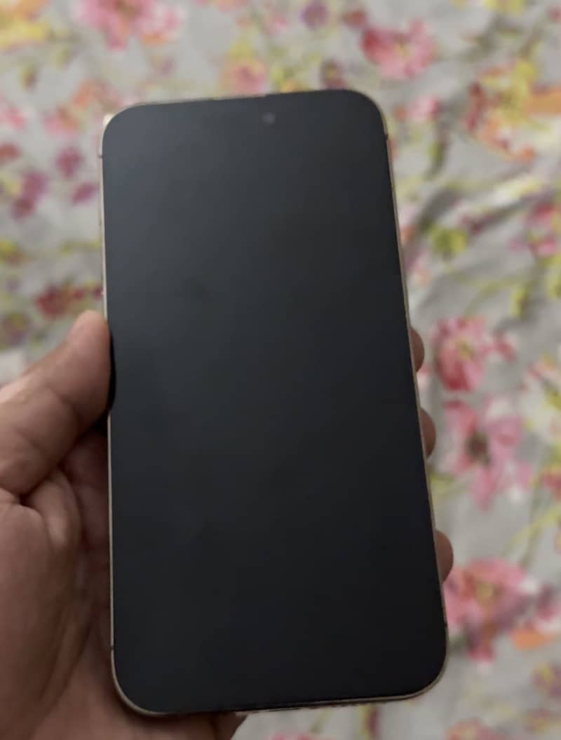 Apple iPhone 14 Pro Max 1