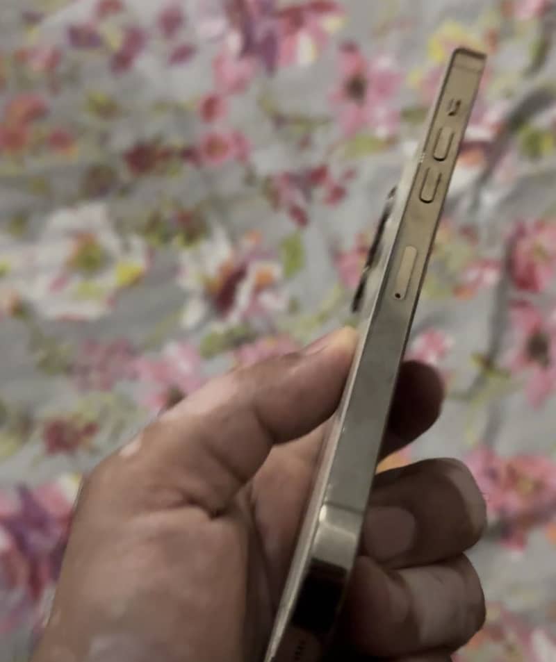 Apple iPhone 14 Pro Max 2