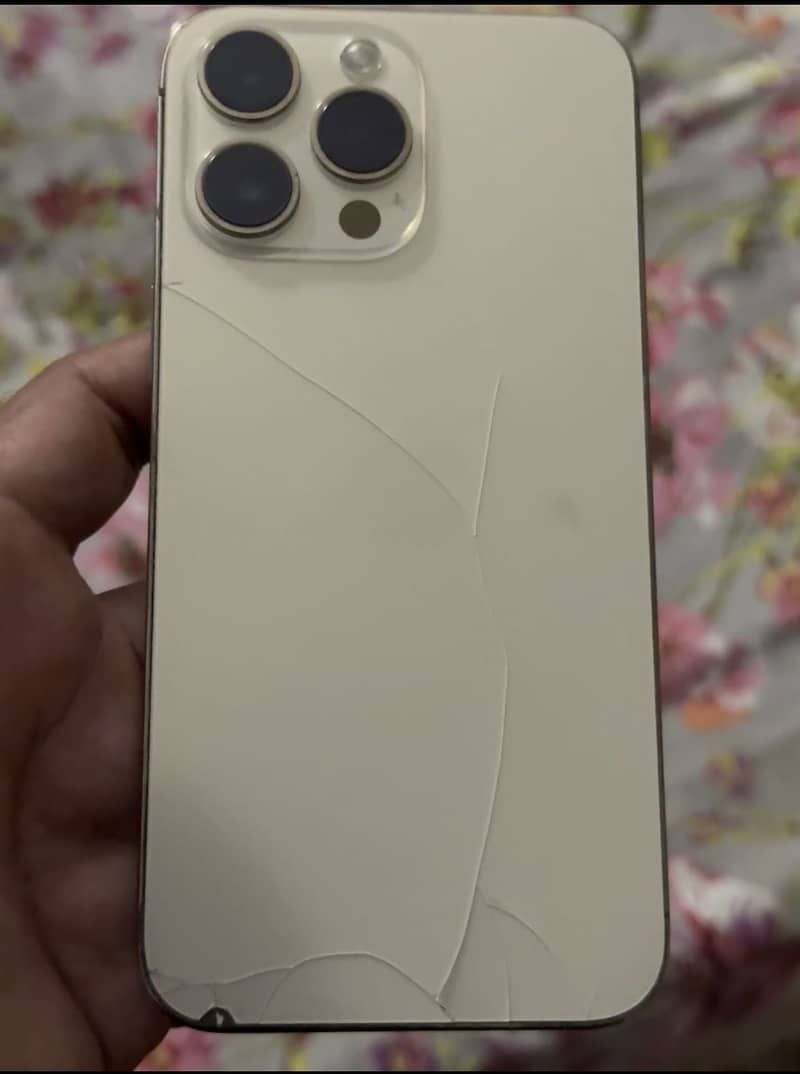 Apple iPhone 14 Pro Max 3