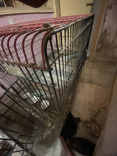 3x2 Iron Parrot/Bird Cage For Sale | With Feeder Bowls